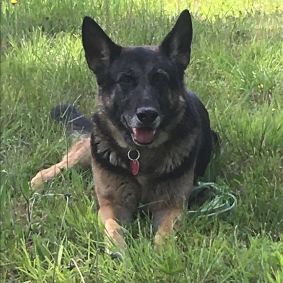 Meet your Posher, Kelli-beth - Picture 7 of 9